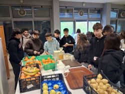 Imagem=Copia_de_20260220_093507-1000.jpg
Tamanho=95KB
Dimensão=1000x750
Data Envio=02 Mar, 2026 Copia_de_20260220_093507-1000.jpg