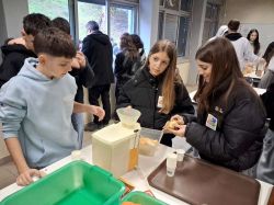 Imagem=Copia_de_20260220_093645-1000.jpg
Tamanho=81KB
Dimensão=1000x750
Data Envio=02 Mar, 2026 Copia_de_20260220_093645-1000.jpg