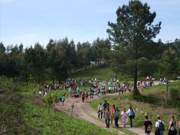 S5000167-1000.jpg