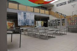 DSC0453-1000.jpg