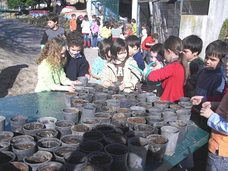 1002_sementeira01.jpg