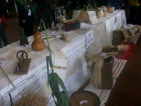1006_curso_efa01.jpg