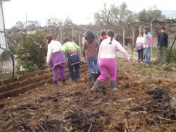 Imagem=Horta_Pedagogica_na_Escola_de_Bravaes.JPG
Tamanho=149KB
Dimensão=640x480
Data Envio=23 Mar, 2011 Horta_Pedagogica_na_Escola_de_Bravaes.JPG