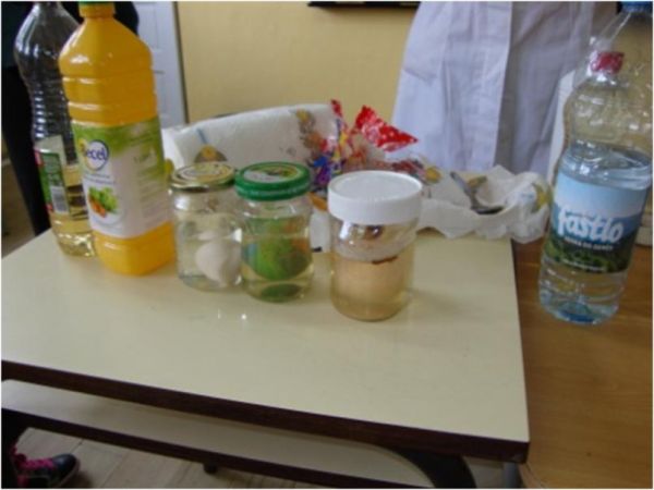 brincando_com_a_ciencia04.jpg