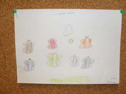 SDC14134-1000.jpg