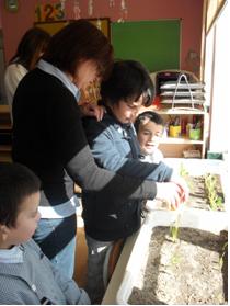 110317_projecto_milho02.jpg