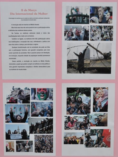 diamulher01.jpg