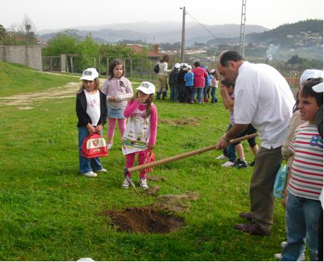 reflorestacao_nogueira.jpg