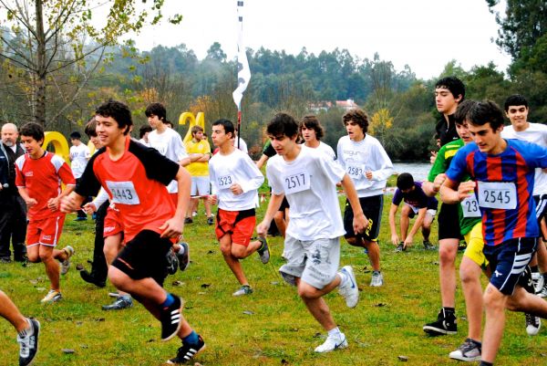 Corta-mato_(5).jpg