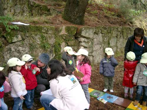 1112_maos_dadas_floresta04.jpg