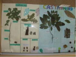 Imagem=1112_pnpg_biodiversidade03.jpg
Tamanho=25KB
Dimensão=472x354
Data Envio=17 Jan, 2015 1112_pnpg_biodiversidade03.jpg