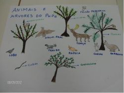 Imagem=1112_pnpg_biodiversidade05.jpg
Tamanho=21KB
Dimensão=487x366
Data Envio=17 Jan, 2015 1112_pnpg_biodiversidade05.jpg