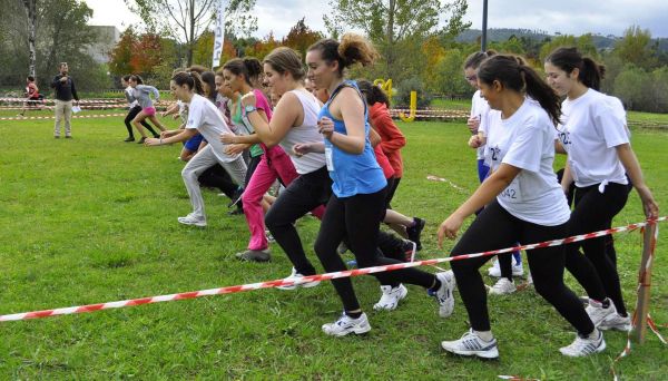 corta_mato_28129.jpg