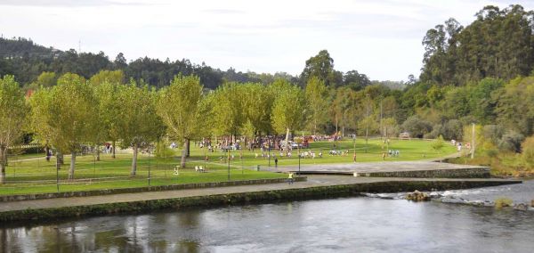 corta_mato_28229.jpg
