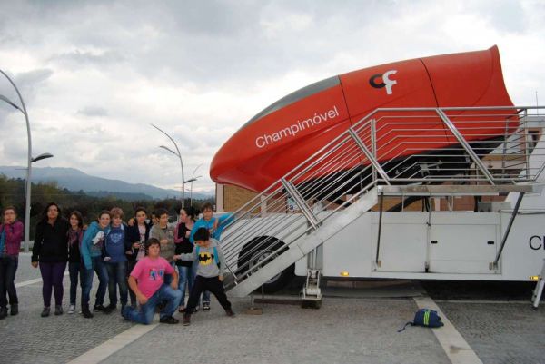 1211_champimovel02.jpg