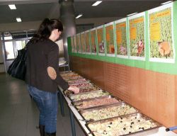 Imagem=1210_dia_mundial_da_alimentacao01.jpg
Tamanho=83KB
Dimensão=1000x769
Data Envio=14 Jan, 2015 1210_dia_mundial_da_alimentacao01.jpg