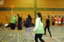 Imagem=1301_torneio_compal02.jpg
Tamanho=74KB
Dimensão=1000x669
Data Envio=14 Jan, 2015 1301_torneio_compal02.jpg