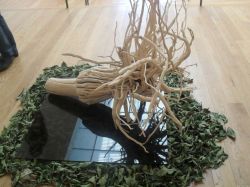 Imagem=1306_visita_Serralves06.jpg
Tamanho=80KB
Dimensão=1000x750
Data Envio=14 Jan, 2015 1306_visita_Serralves06.jpg