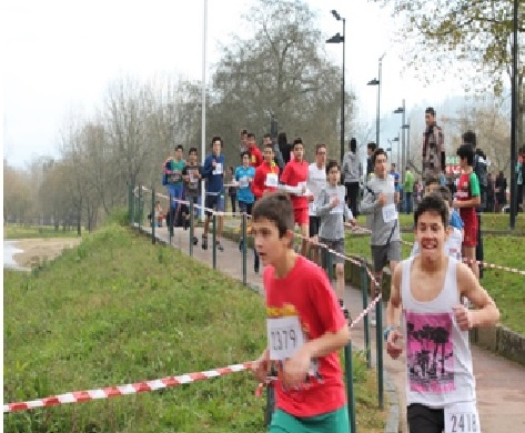 1412_corta_mato01.jpg