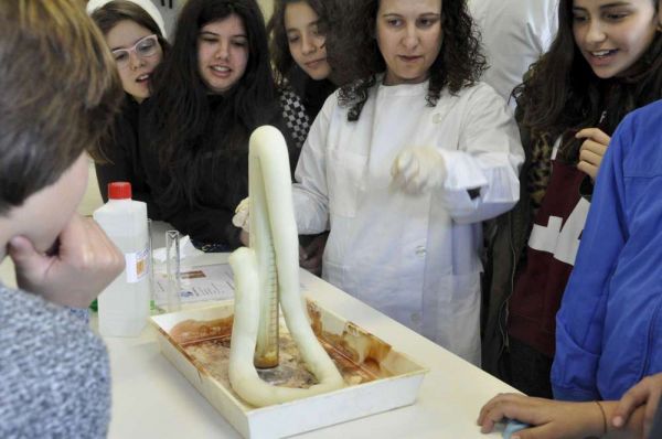 1503_dia_da_ciencia_dm03.jpg