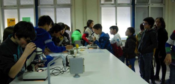 1503_dia_das_ciencias_g230_05.jpg