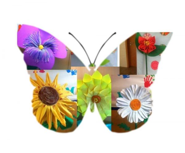 1505_crasto_florido02.jpg