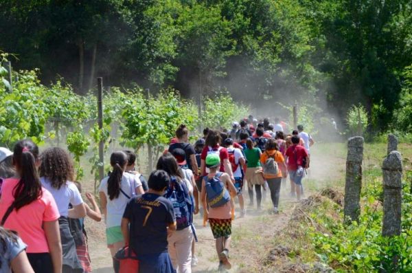 1506_caminhada02.jpg