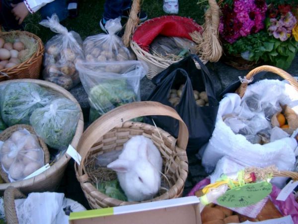 1506_pre_feira_tradicional03.jpg