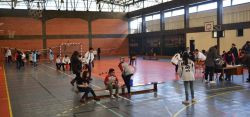 Imagem=1503_torneio_boccia02.jpg
Tamanho=192KB
Dimensão=1024x481
Data Envio=11 Nov, 2015 1503_torneio_boccia02.jpg