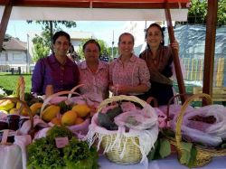 Imagem=1505_alegria_na_praca06.jpg
Tamanho=104KB
Dimensão=1000x750
Data Envio=11 Nov, 2015 1505_alegria_na_praca06.jpg