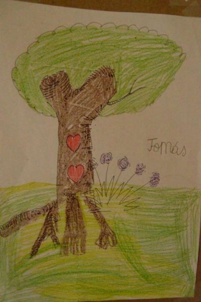 1511_arvore_generosa06.jpg