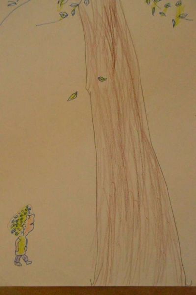 1511_arvore_generosa08.jpg