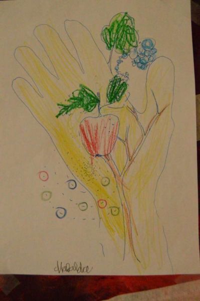 1511_arvore_generosa09.jpg
