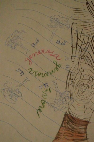 1511_arvore_generosa12.jpg