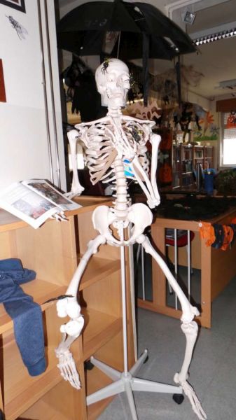 1511_halloween_2015_10.jpg