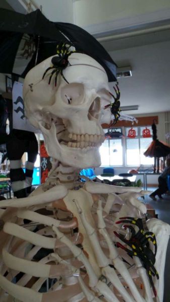 1511_halloween_2015_13.jpg
