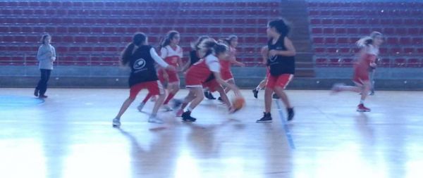 1602_basquetebol06.jpg