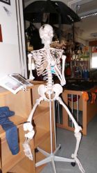Imagem=1511_halloween_2015_10.jpg
Tamanho=59KB
Dimensão=562x1000
Data Envio=28 Out, 2019 1511_halloween_2015_10.jpg
