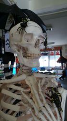 1511_halloween_2015_13.jpg