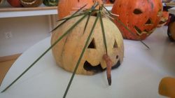 1511_halloween_ear07.jpg
