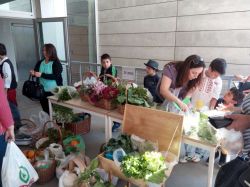 Imagem=1605_feira_agricola_crasto06.jpg
Tamanho=82KB
Dimensão=1000x750
Data Envio=28 Out, 2019 1605_feira_agricola_crasto06.jpg