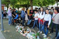Imagem=1605_feira_cas02.jpg
Tamanho=112KB
Dimensão=1000x668
Data Envio=28 Out, 2019 1605_feira_cas02.jpg