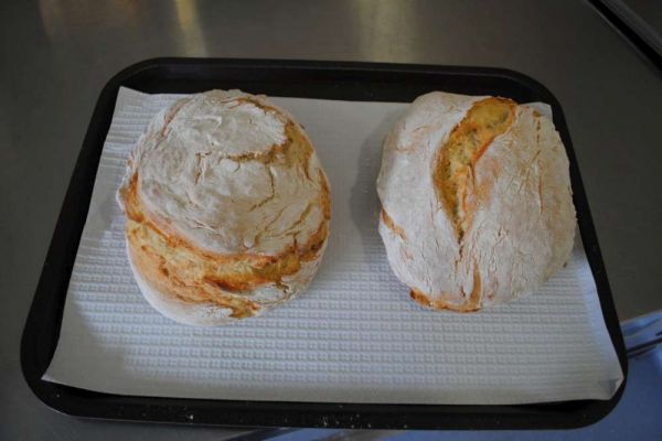 1610_semana_alimentacao_cear11.jpg
