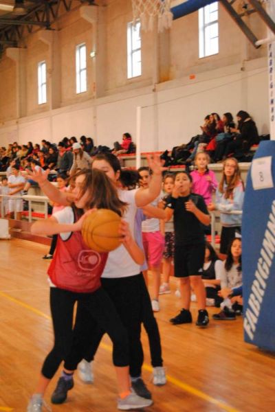 1701_basquetebol_04.jpg