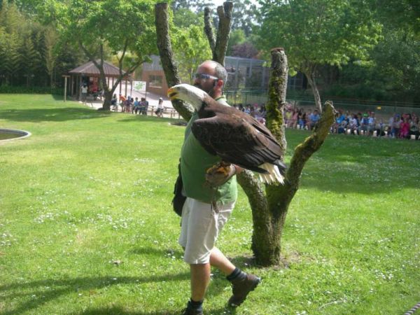 1706_visita_zoo02.jpg