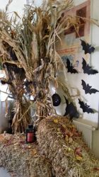 Imagem=1611_halloween05.jpg
Tamanho=80KB
Dimensão=562x1000
Data Envio=13 Fev, 2022 1611_halloween05.jpg