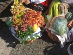 Imagem=1706_feira_tradicional_pre_escolar03.jpg
Tamanho=106KB
Dimensão=1000x750
Data Envio=13 Fev, 2022 1706_feira_tradicional_pre_escolar03.jpg