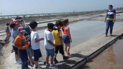 Imagem=1706_visita_estudo_aveiro04.jpg
Tamanho=57KB
Dimensão=1000x562
Data Envio=13 Fev, 2022 1706_visita_estudo_aveiro04.jpg