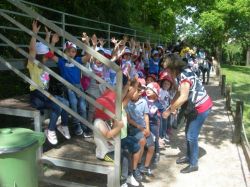 Imagem=1706_visita_zoo01.jpg
Tamanho=99KB
Dimensão=1000x750
Data Envio=13 Fev, 2022 1706_visita_zoo01.jpg