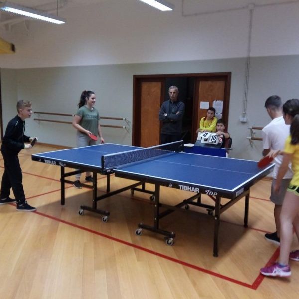 Taca_do_Desporto__Escolar_281229.jpg